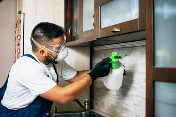 Best Exterminator Services  in Thornville, OH