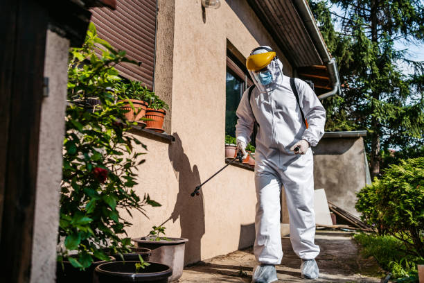 Professional Pest Control in Thornville, OH