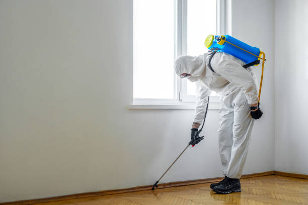 Best Local Pest Control Services  in Thornville, OH