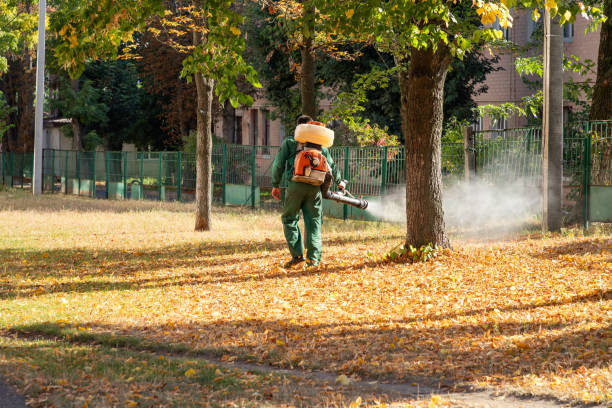 Best Mosquito Control Services  in Thornville, OH