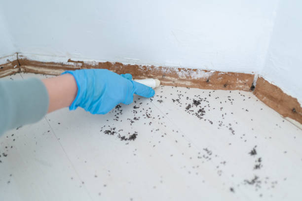 Best Pest Inspection Near Me  in Thornville, OH